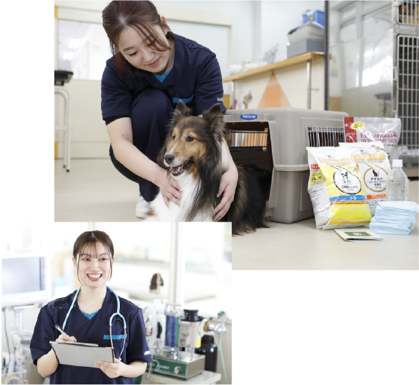 愛玩動物看護師学科(3年制)｜吉田学園動物看護専門学校