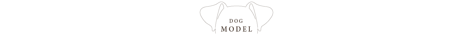 model image