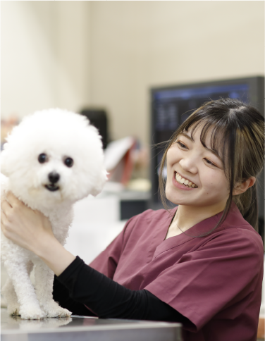 愛玩動物看護学科1