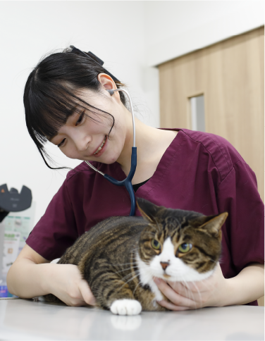愛玩動物看護学科3