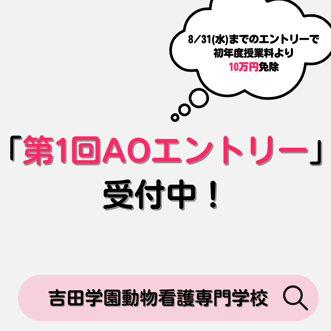 入試情報 第1回aoエントリー受付中 吉田学園動物看護専門学校