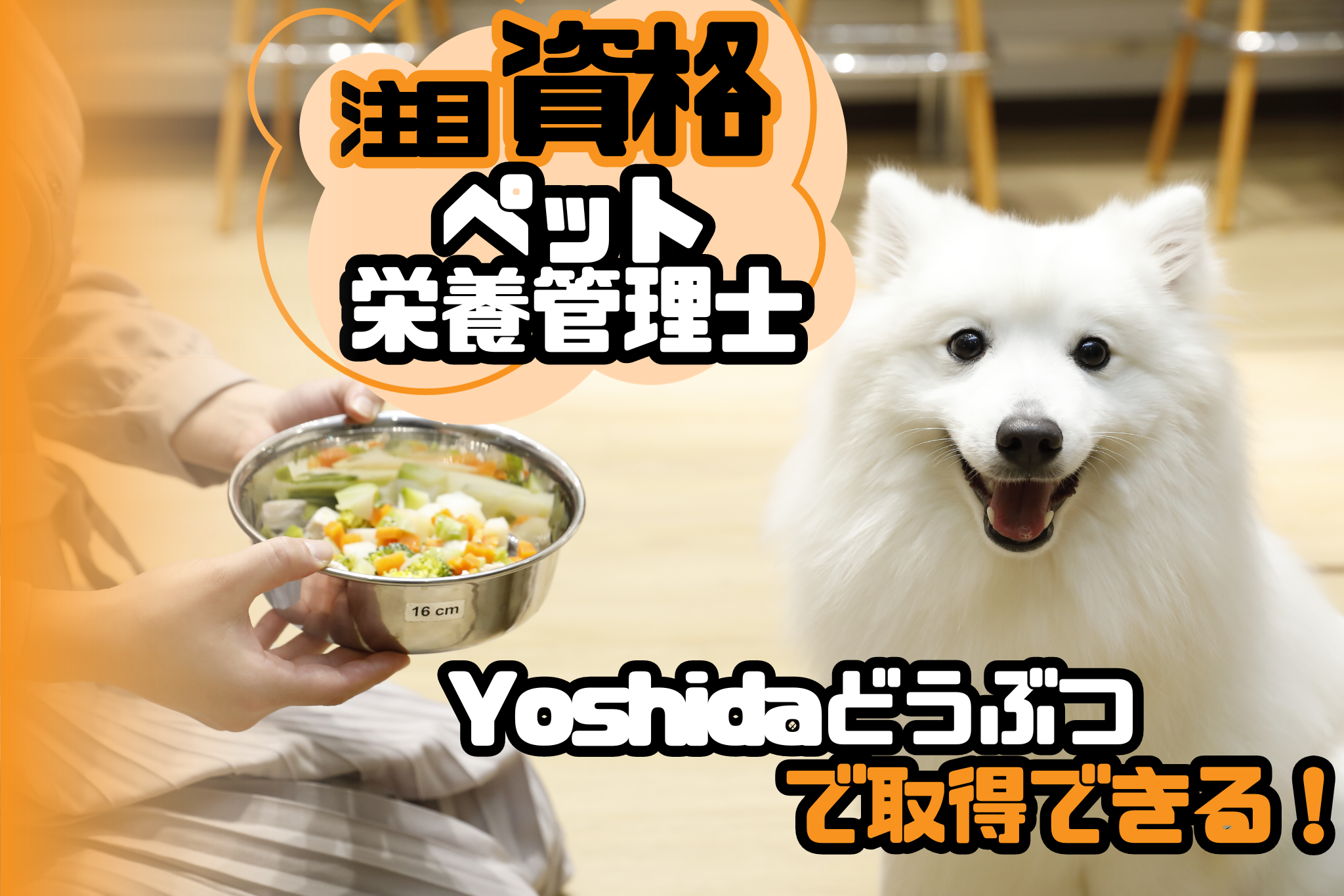 犬のしつけ学・ペット栄養管理学・動物看護テキスト 楽天市場】ペット栄養管理学テキストブックの通販