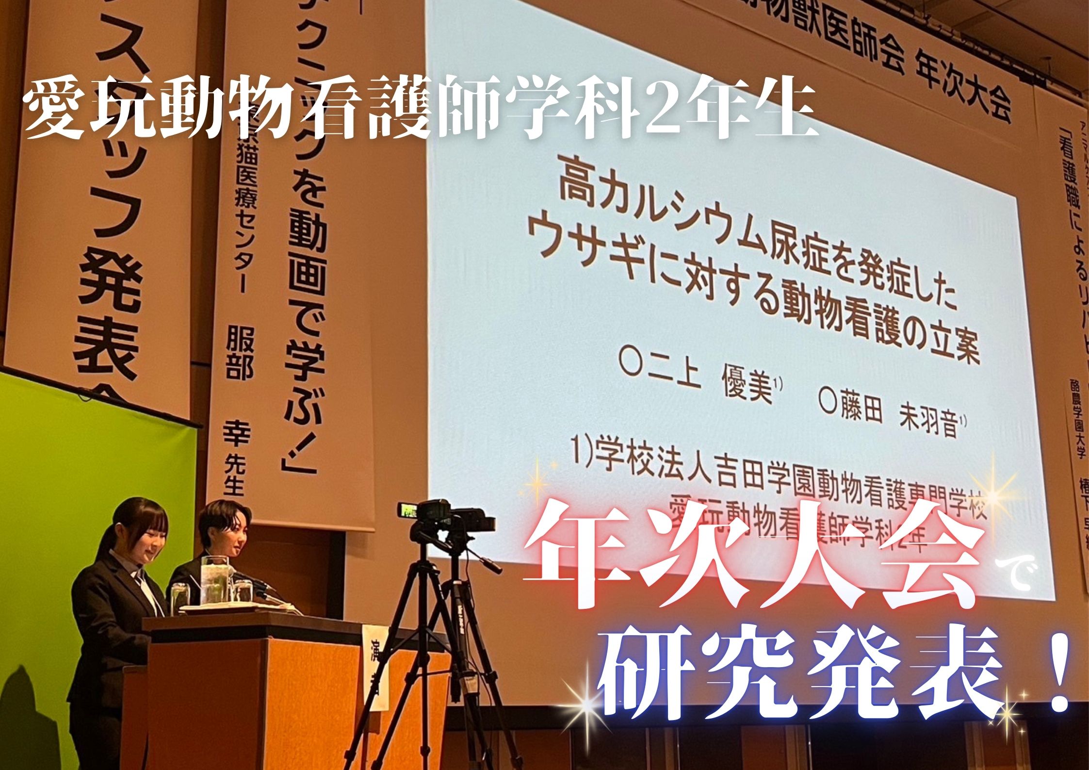 動物系の専門学校で唯一参加🚩北海道小動物獣医師会年次大会2024で研究