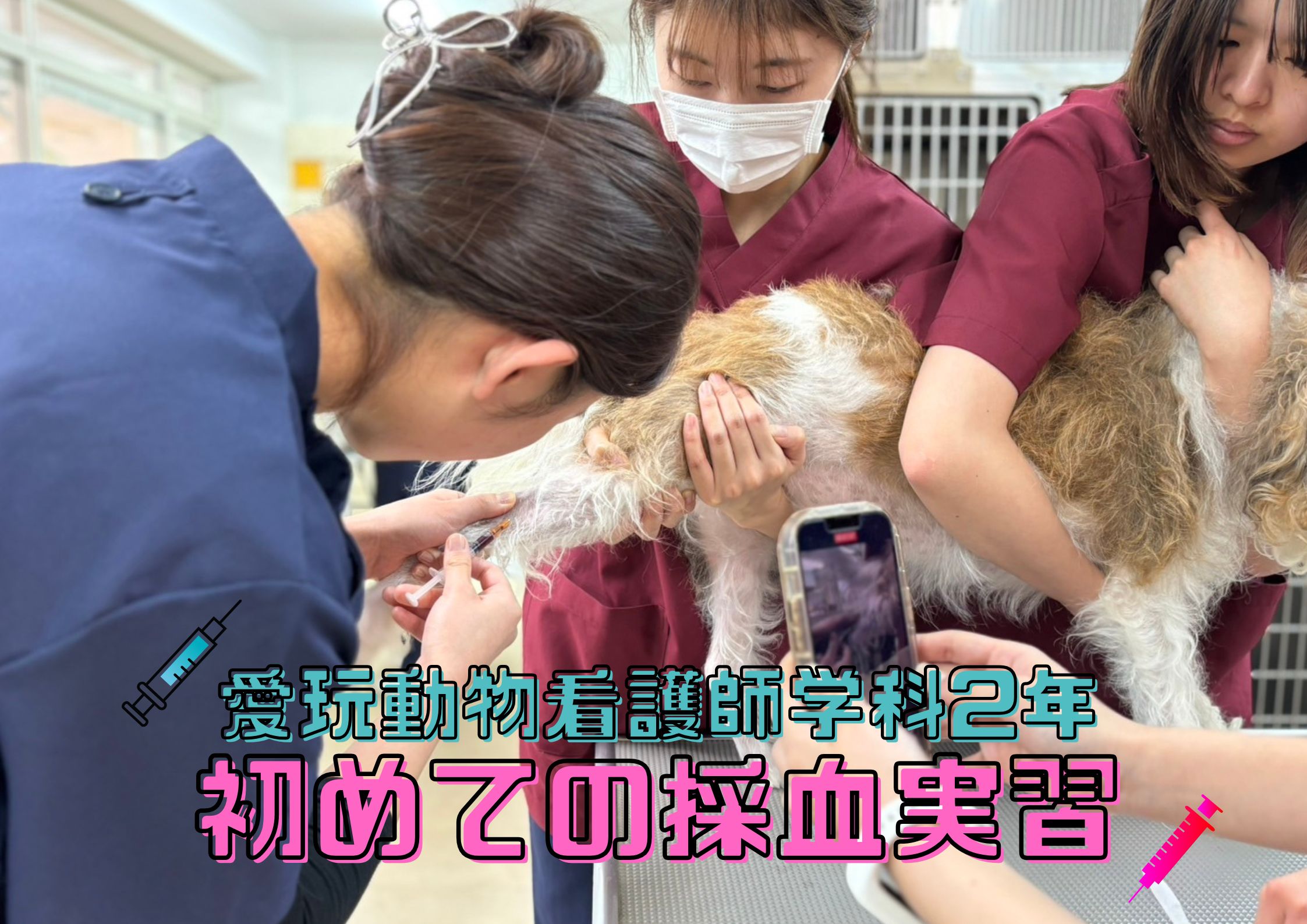 動物看護学生が必要そうな物！ 動物看護学生 持ち物 | TikTok