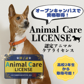 認定アニマルケアライセンス